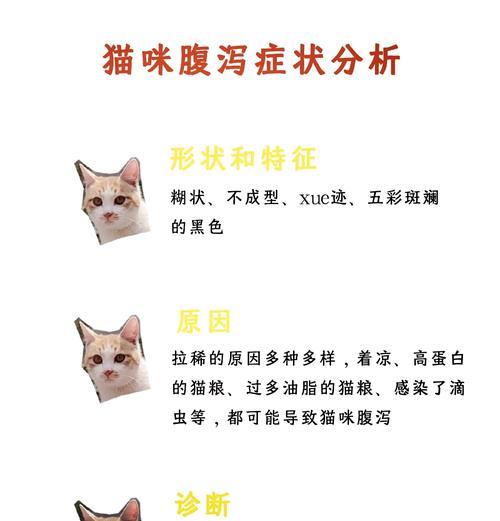 小猫拉稀怎么办？（有效处理宠物猫的消化问题）