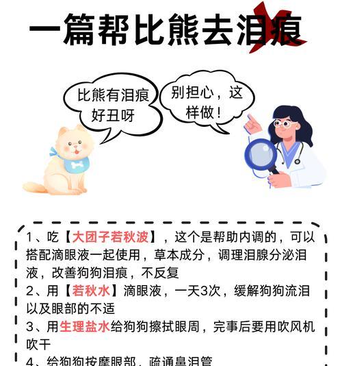 小狗泪痕问题解决方案（有效去除小狗泪痕的方法及注意事项）