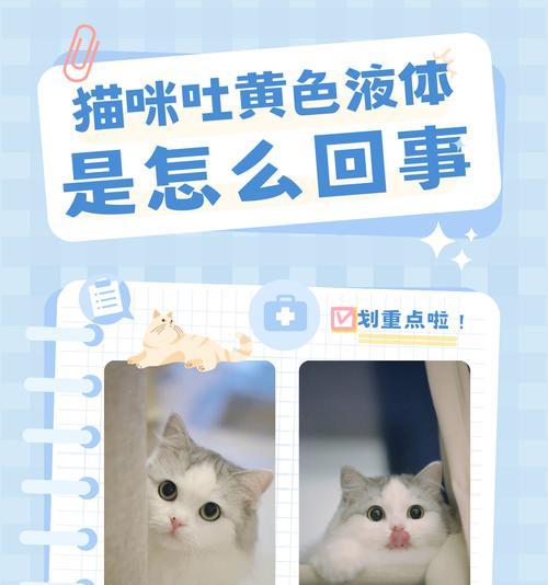 猫脖子为什么会发黄？（探究猫脖子发黄的原因及对策）