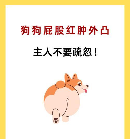 小狗便秘怎么办？（解决3个月小狗便秘问题的有效方法）