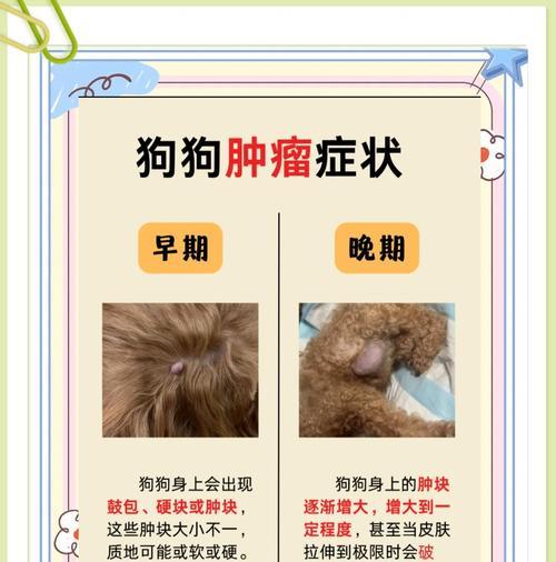 怎么分辨狗狗是否已经去世？（依据明显的身体迹象和行为变化来确定狗狗是否死亡）